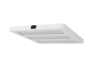 300 Series Canopy Light